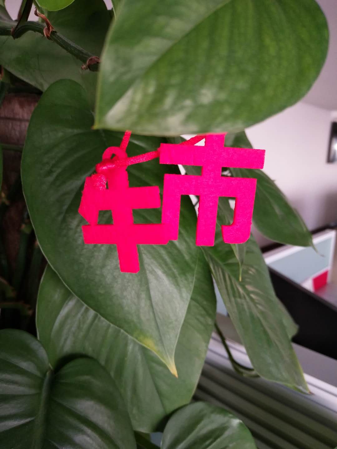 鑫融网络